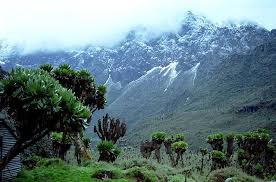 Bild 39